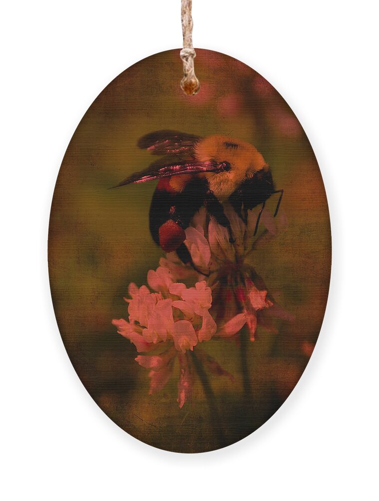 Bumble Bee Ornament featuring the photograph Bumble Bee Serenade Nbr 2 by Lesa Fine