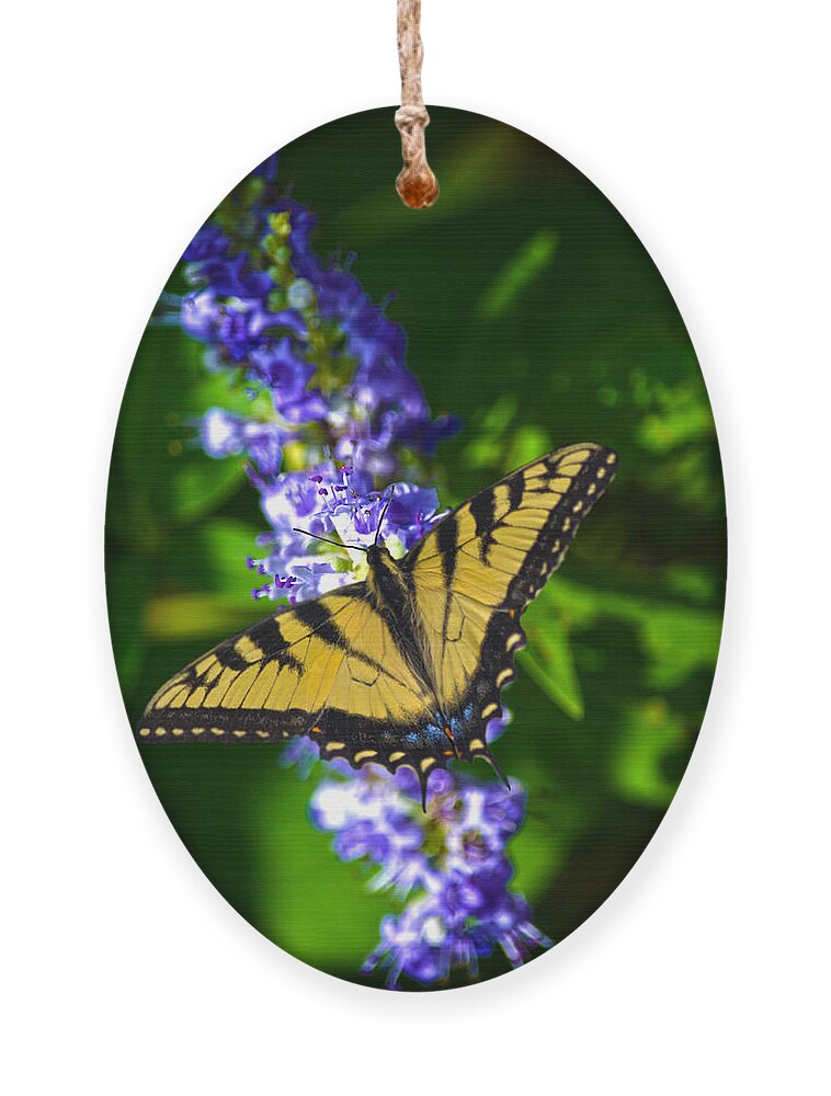 Swallowtail Ornament featuring the photograph Butterflly Bush And The Swallowtail by Sandi OReilly