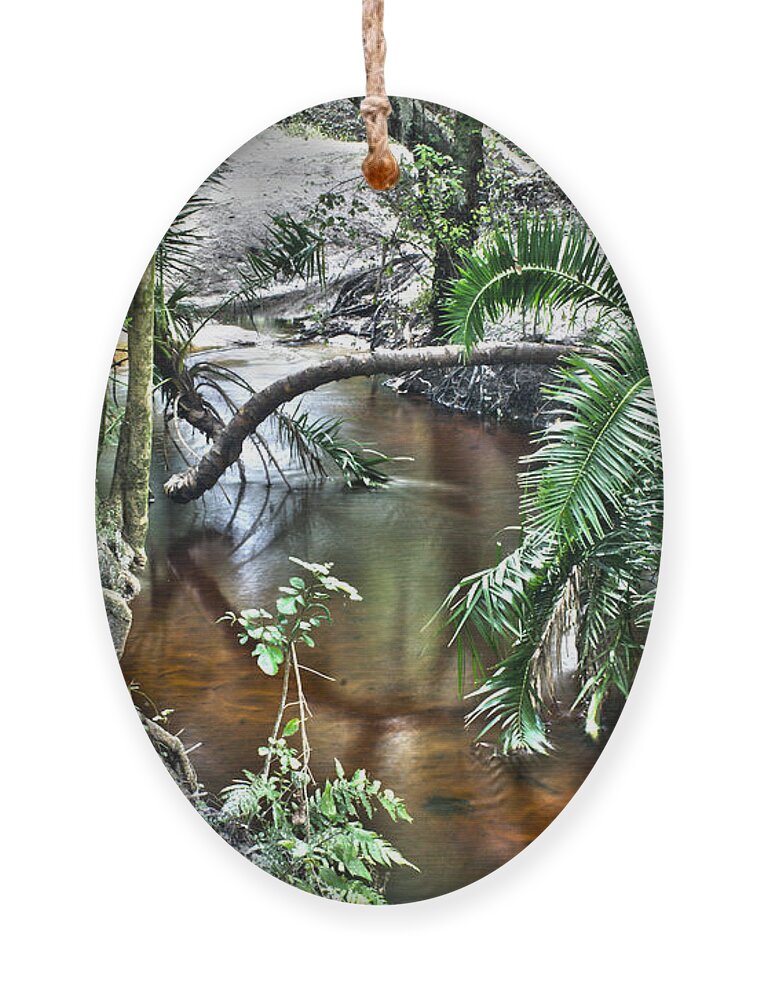 Stream Ornament featuring the photograph Calm Water by Chauncy Holmes