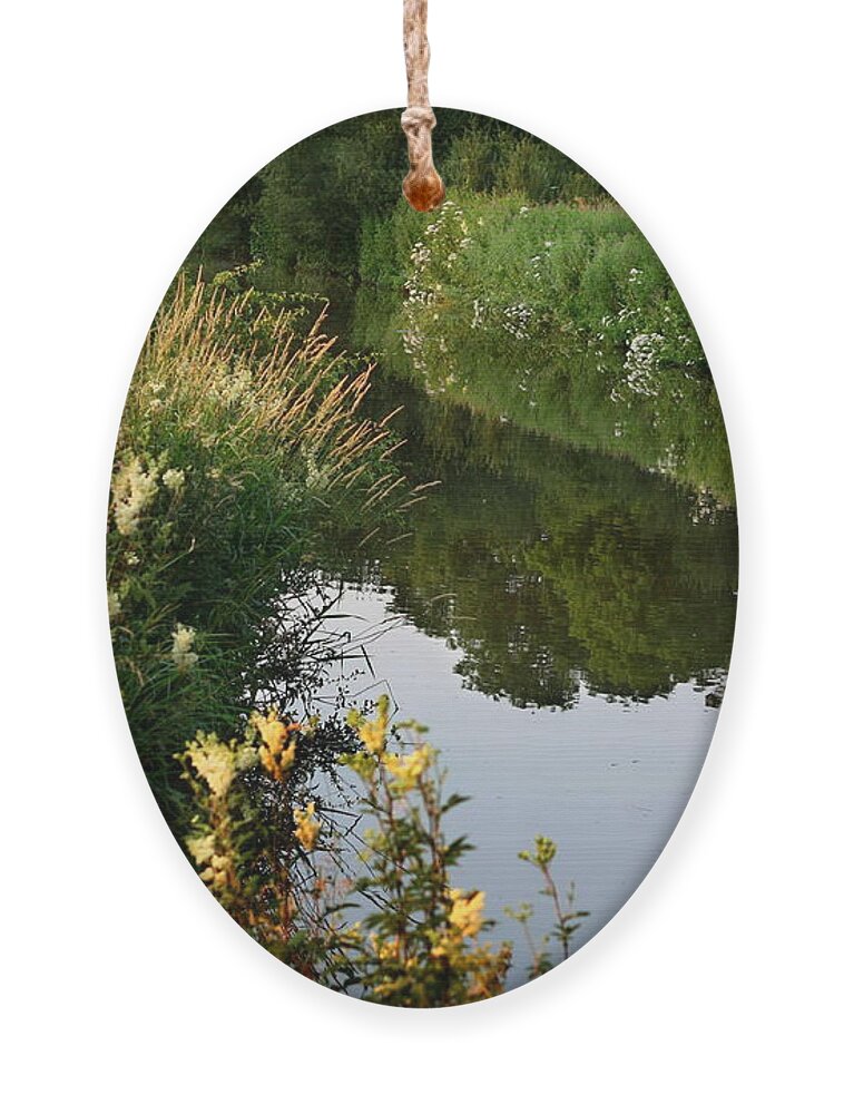 Oxford Ornament featuring the photograph Canal Reflections by Jeremy Hayden