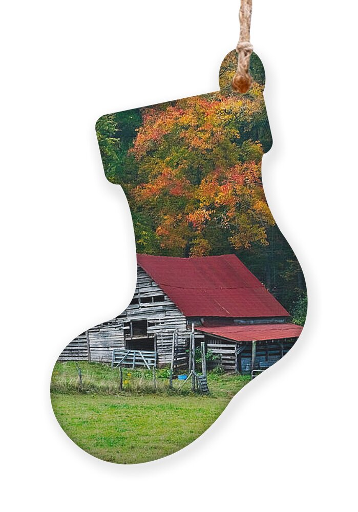 Appalachia Ornament featuring the photograph Candy Mountain by Debra and Dave Vanderlaan