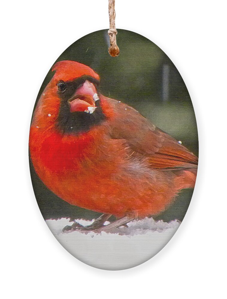 Northern Cardinal Ornament featuring the photograph Cardinal In The Snowstorm by Sandi OReilly