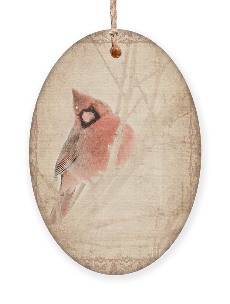 Cardinal Ornament featuring the photograph Cardinal by Pam Holdsworth