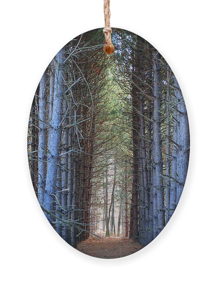Pines Ornament featuring the photograph Cathedral of Pines by David T Wilkinson