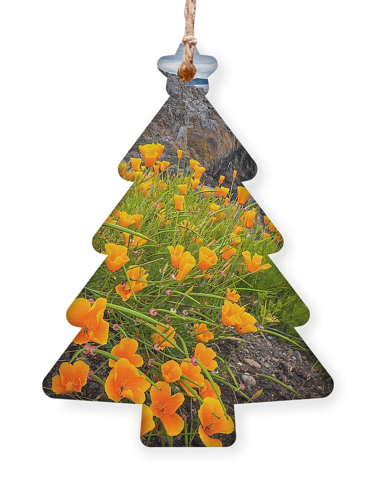 Beach Ornament featuring the photograph Cattle Point Poppies by Inge Johnsson