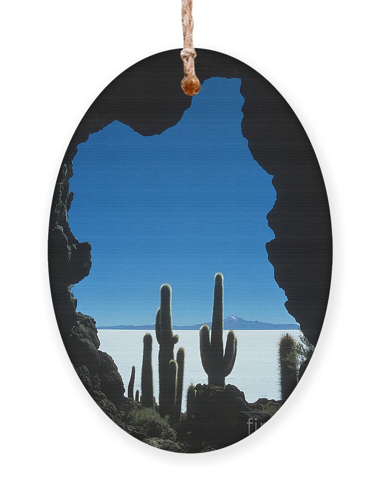 Bolivia Ornament featuring the photograph Cave and cacti Incahuasi Island by James Brunker