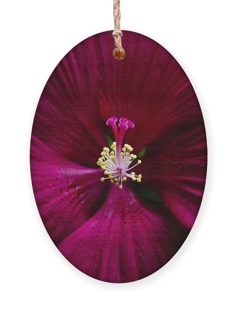 Botanical Ornament featuring the photograph Center Folds by Christi Kraft