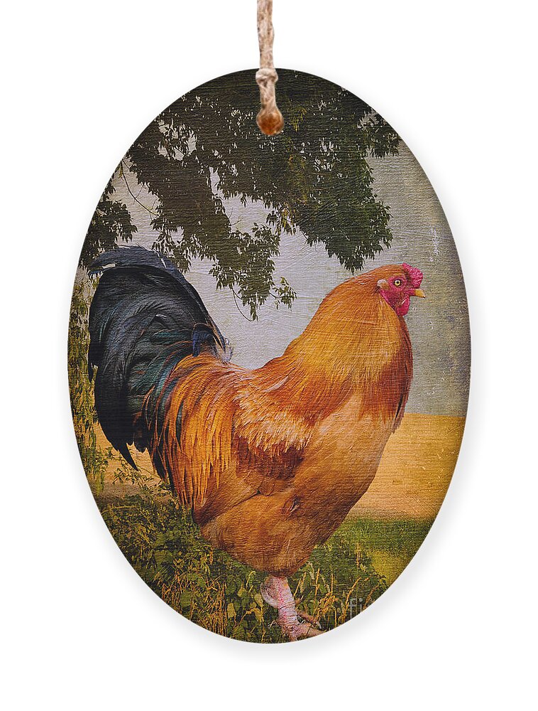 Chanticleer Ornament featuring the photograph Chanticleer In Blue by Lois Bryan