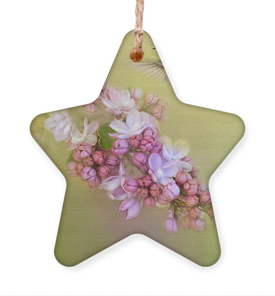 Jai Johnson Ornament featuring the photograph Chasing Lilacs by Jai Johnson