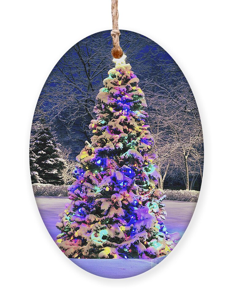 Christmas Ornament featuring the photograph Christmas tree in snow by Elena Elisseeva