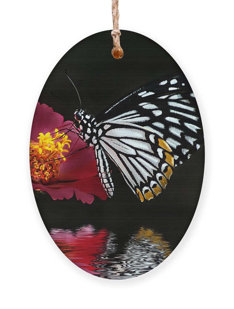 Butterfly Ornament featuring the photograph Cliche on Burgundy by Lois Bryan