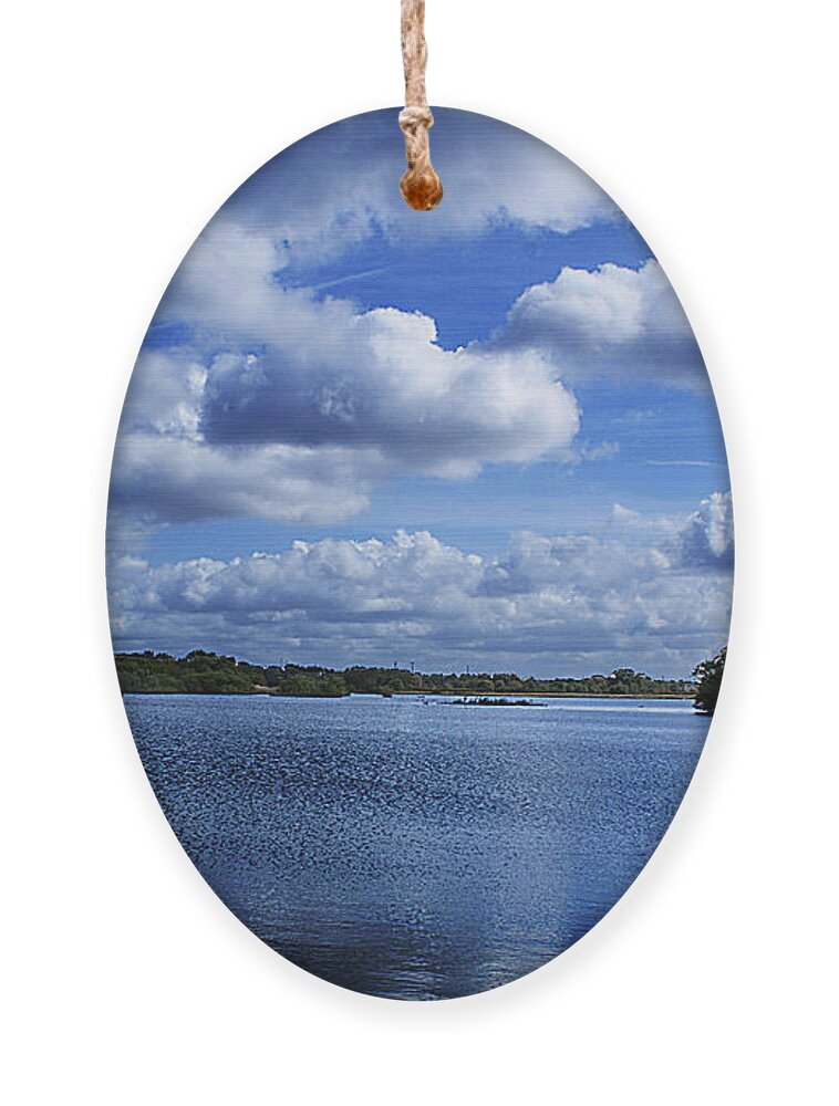 Trees Ornament featuring the photograph Cloudy Day by Chauncy Holmes