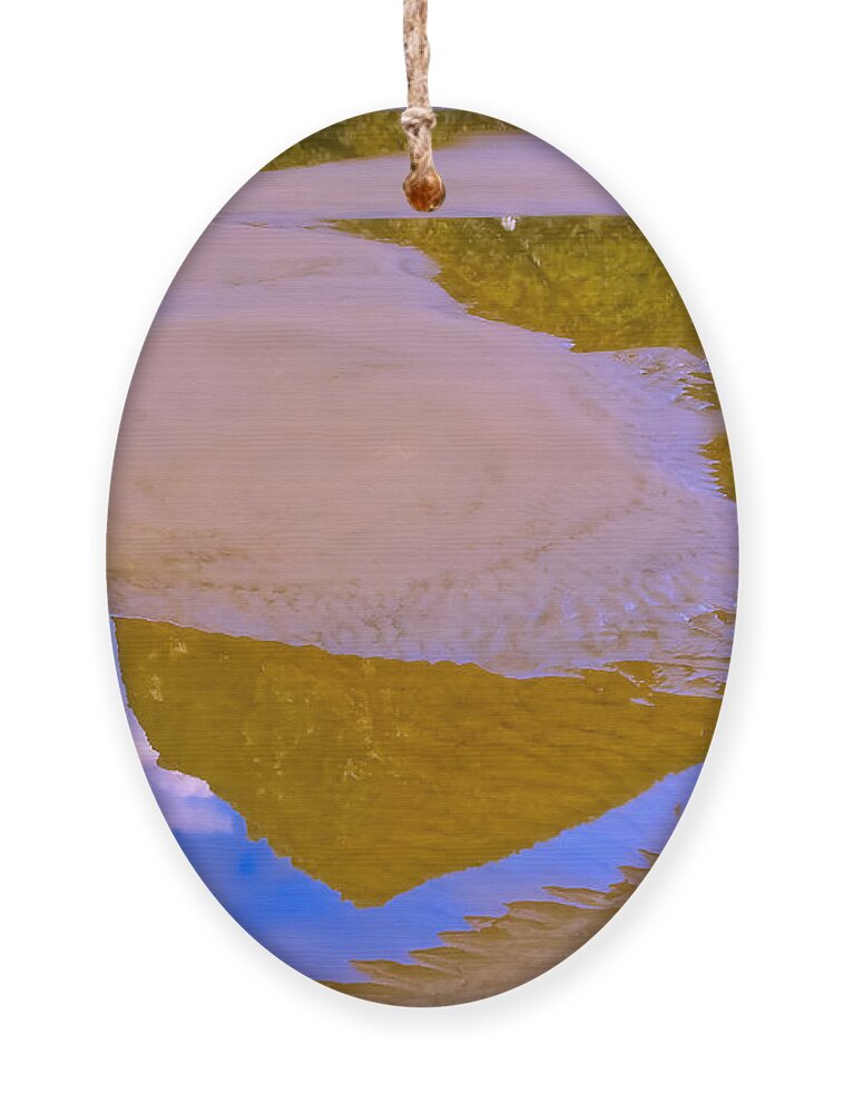 Nature Ornament featuring the photograph Coastal Landscape in abstract 1 by Jonathan Nguyen