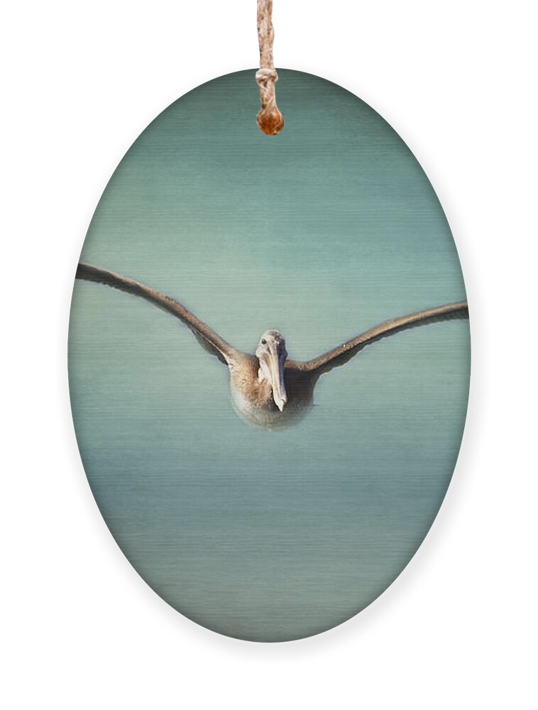 Pelican Ornament featuring the photograph Coming At You by Pam Holdsworth