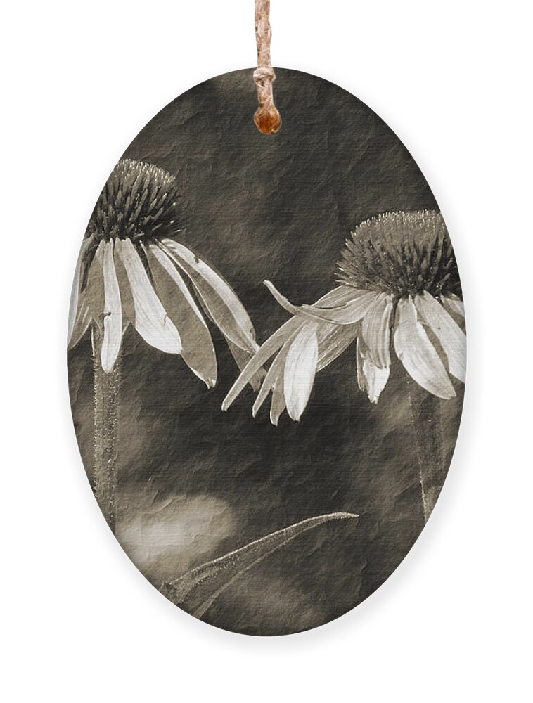 Coneflower Ornament featuring the photograph Coneflower Couple Re-Imagined by David T Wilkinson