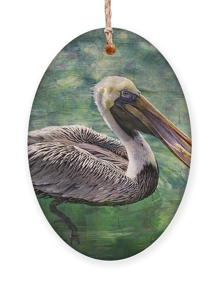 Animals Ornament featuring the photograph Cool Waters by Debra and Dave Vanderlaan