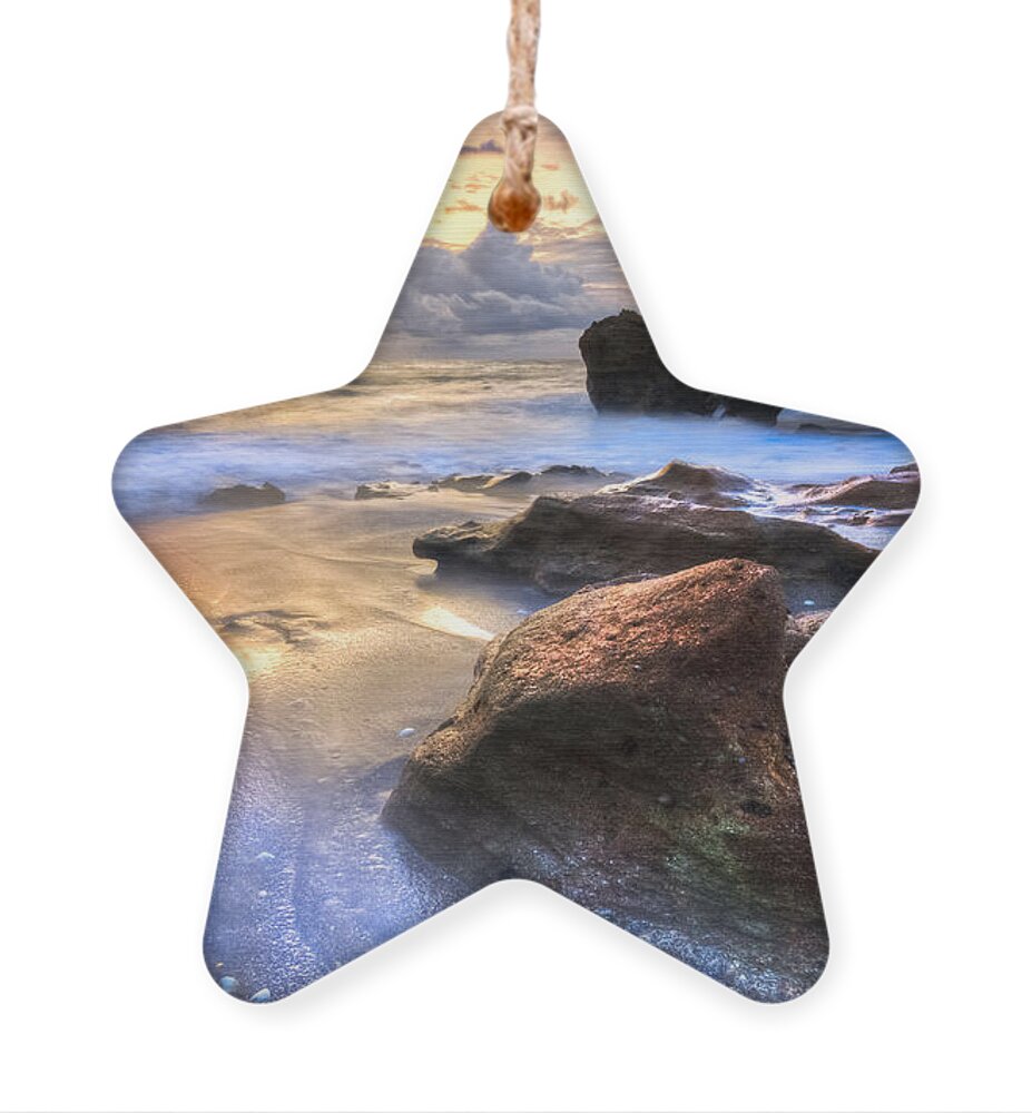 Blowing Ornament featuring the photograph Coral Garden by Debra and Dave Vanderlaan