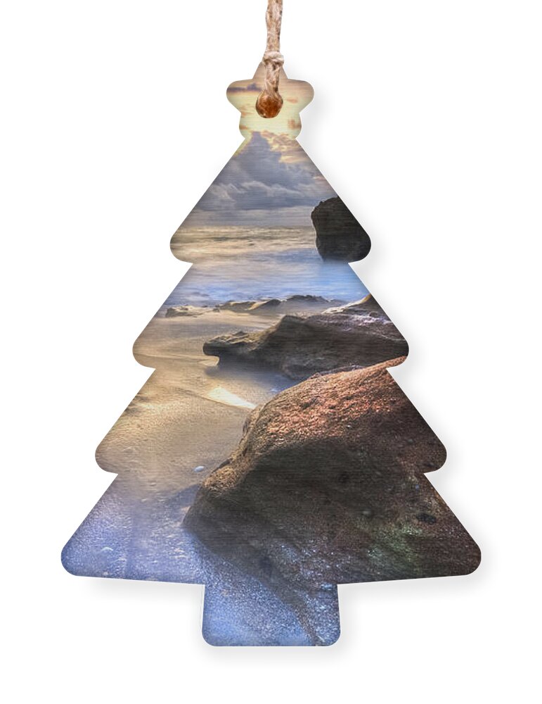 Blowing Ornament featuring the photograph Coral Garden by Debra and Dave Vanderlaan