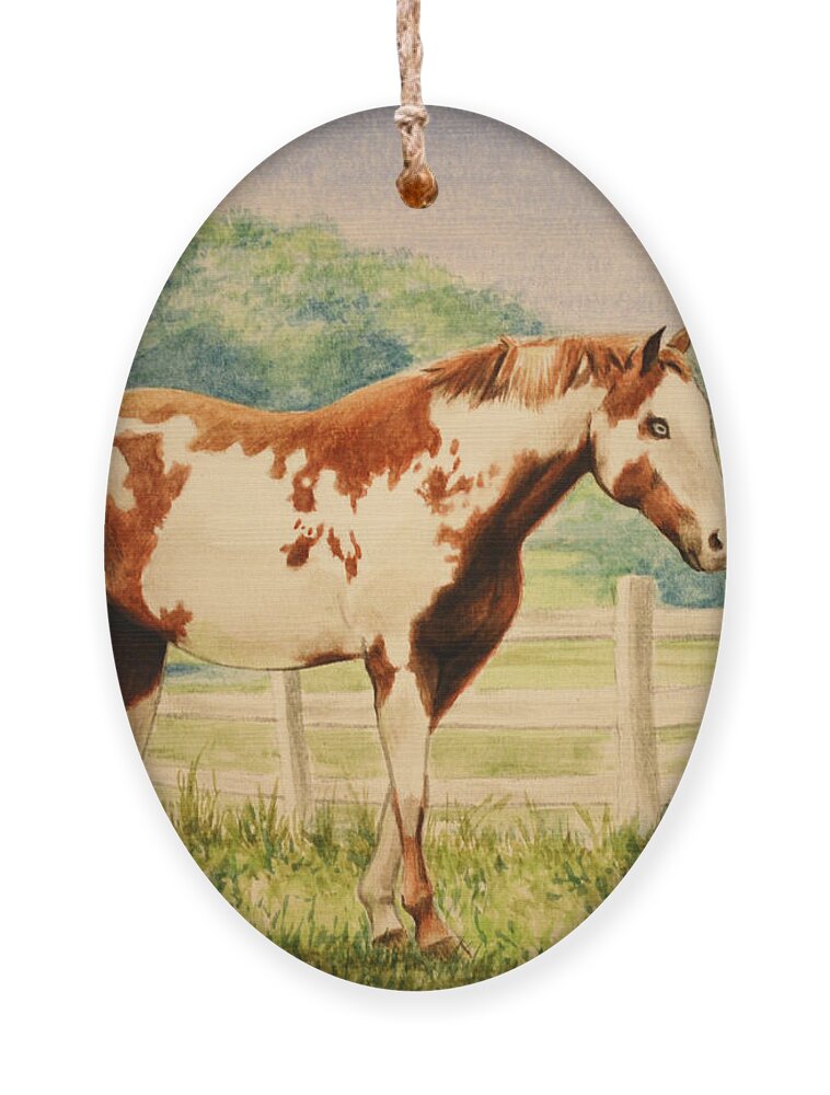 Paint Ornament featuring the painting Cracker by Glenn Pollard