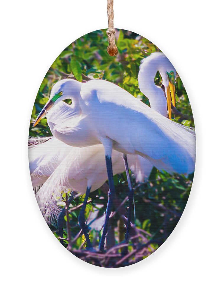 susan Molnar Ornament featuring the photograph Criss-Cross Egrets by Susan Molnar
