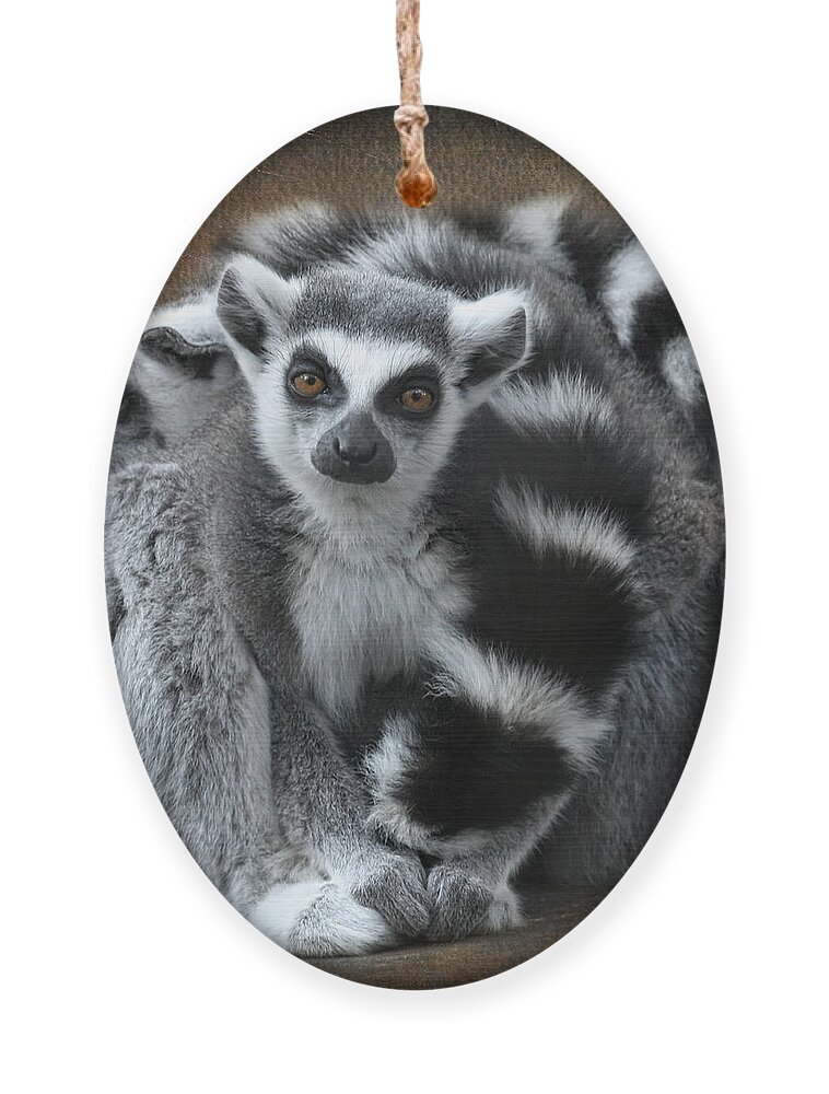 Lemur Ornament featuring the digital art Curious Lemur by Jayne Carney