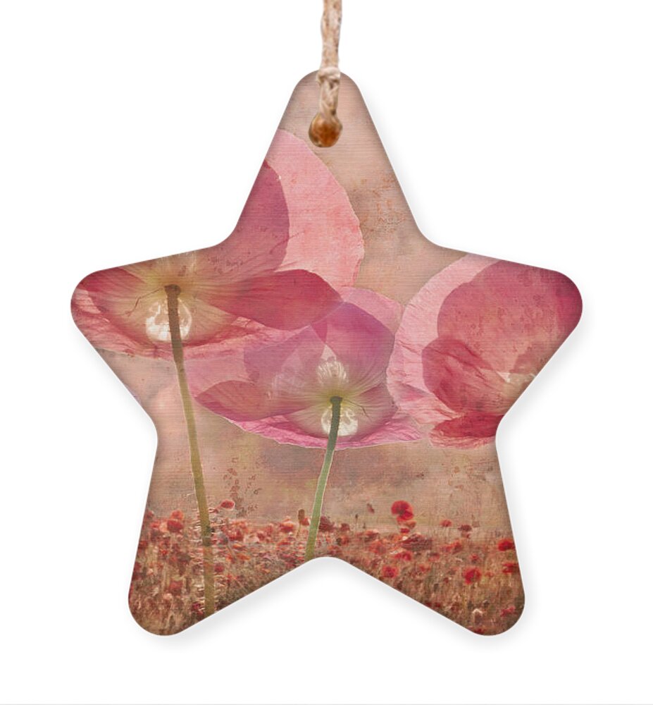 Appalachia Ornament featuring the photograph Dance of the Fairies by Debra and Dave Vanderlaan