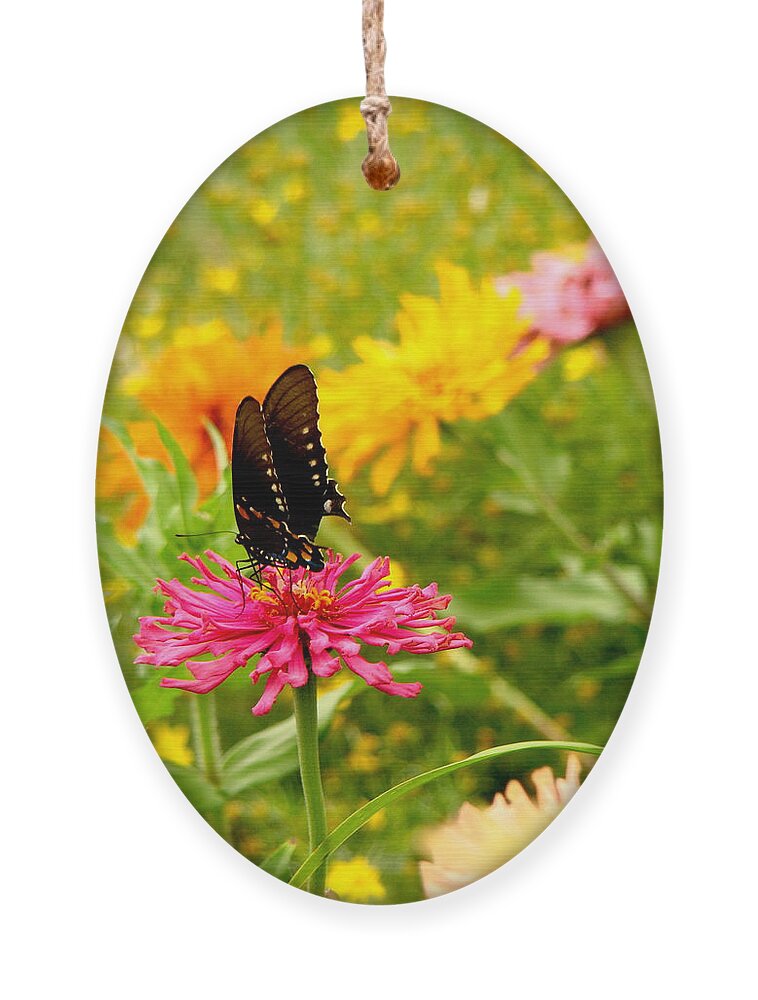 Fine Art Ornament featuring the photograph Dark Angel by Rodney Lee Williams