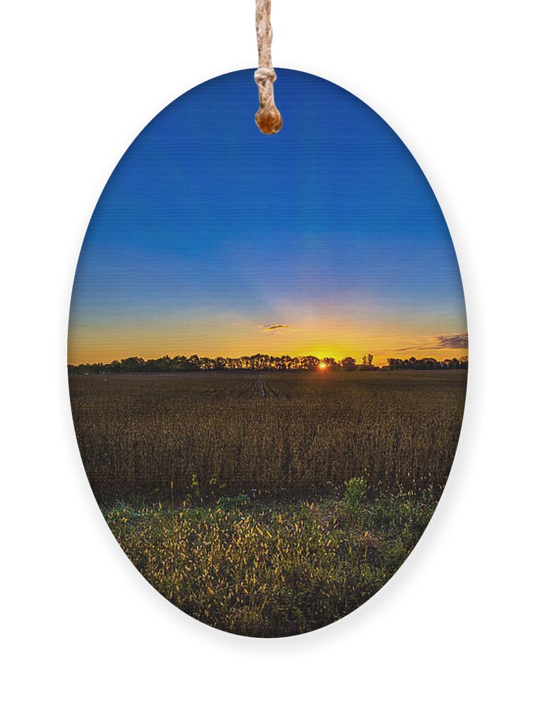 Sunrise Ornament featuring the photograph Dawn of a New Day by Adam Mateo Fierro