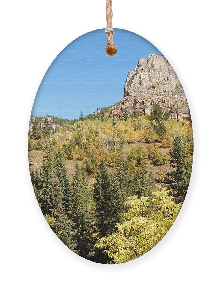 Spearfish Ornament featuring the photograph Delicate Patchwork by Greni Graph