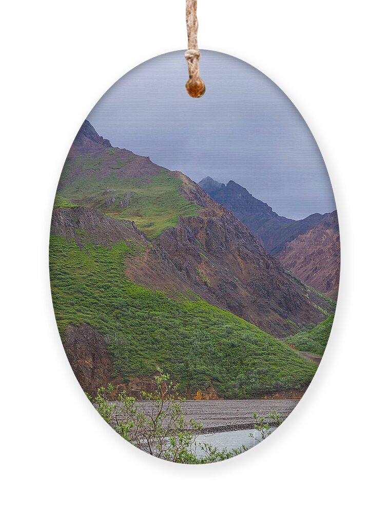 Alaska Ornament featuring the photograph Denali Toklat River Mountains by Jennifer White