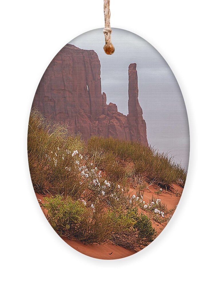 Utah Ornament featuring the photograph Desert Flowers by Jim Garrison