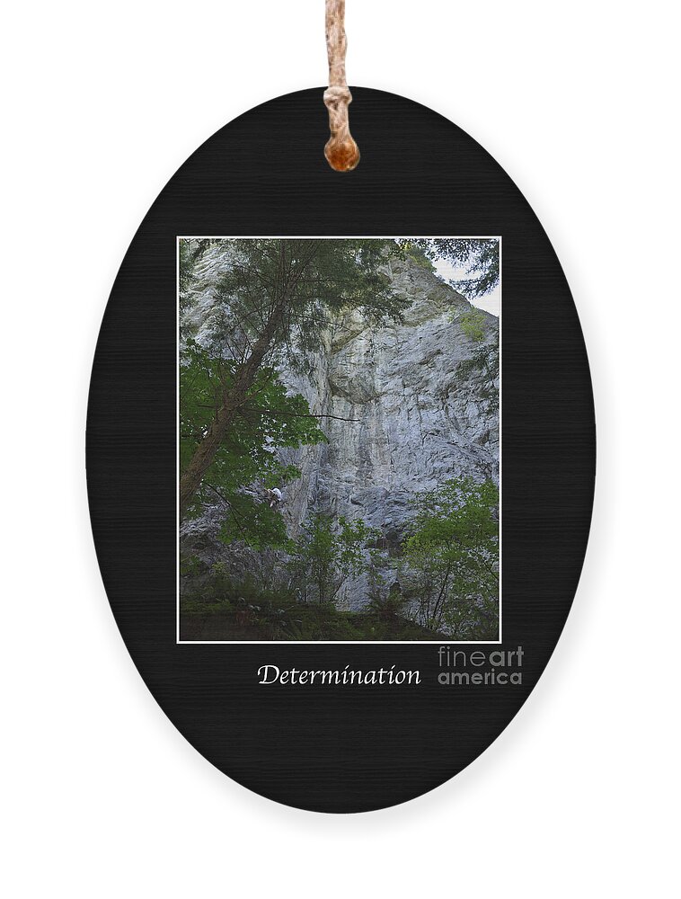 Rock Climbing Ornament featuring the photograph Determination by Kirt Tisdale