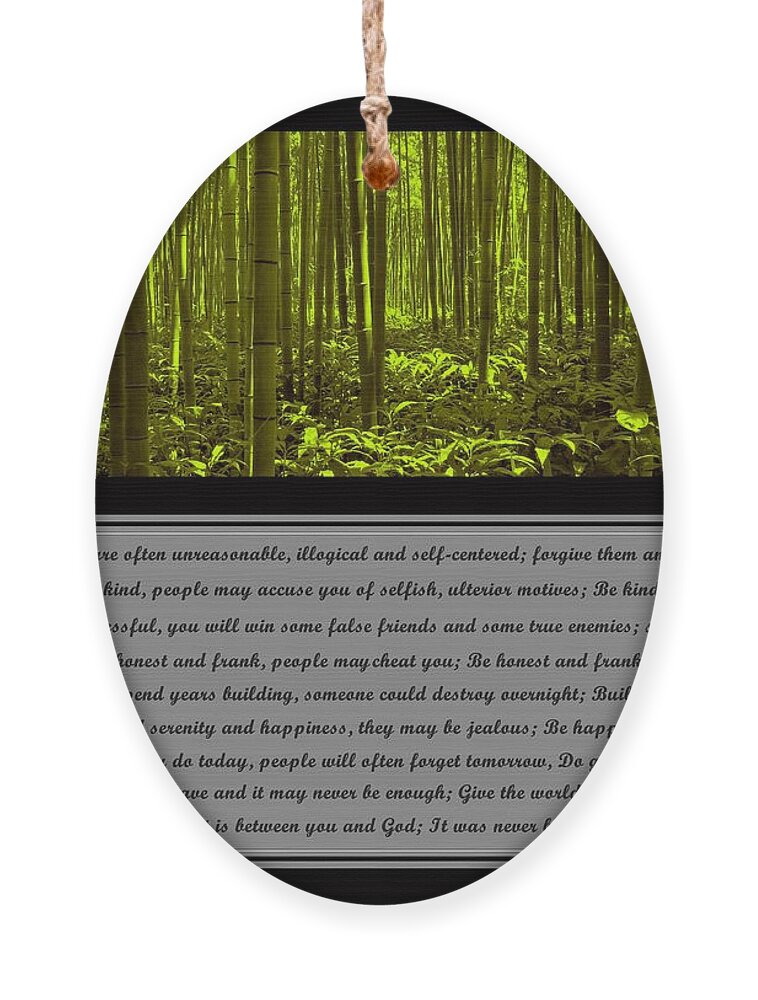 Mother Teresa Ornament featuring the photograph Do It Anyway Bamboo Forest by David Dehner