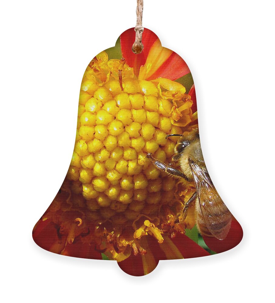 Bees Ornament featuring the photograph Double Trouble by Lori Lafargue