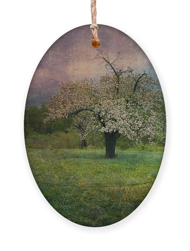 Image By Jeff Folger Ornament featuring the photograph Dream of Spring by Jeff Folger