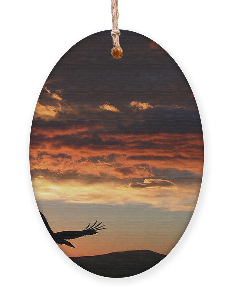 Bald Eagle Ornament featuring the photograph Eagle at Sunset by Shane Bechler