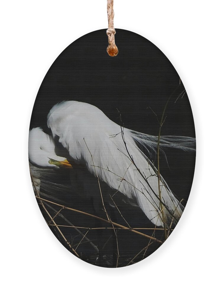 Egret Ornament featuring the photograph Egret Bird City at Avery Island Louisiana by Lizi Beard-Ward