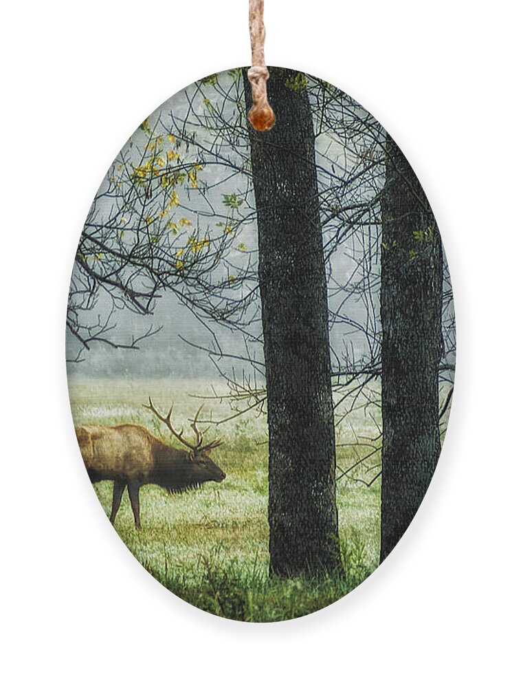Elk Ornament featuring the photograph Emerging from the Fog by Priscilla Burgers