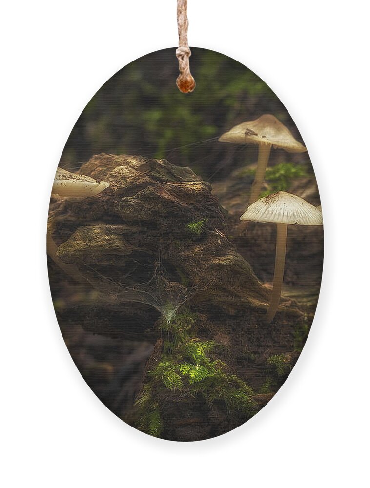 Mushrooms Ornament featuring the photograph Enchanted Forest by Scott Norris