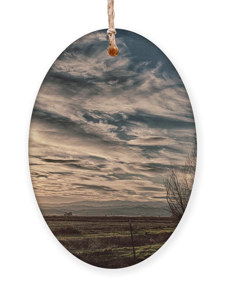 Landscape Ornament featuring the photograph Ethereal Sky by Lisa Chorny