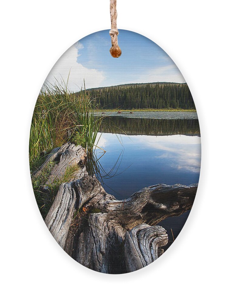 Red Rock Lake Photograph Ornament featuring the photograph Evening at Red Rock Lake by Jim Garrison