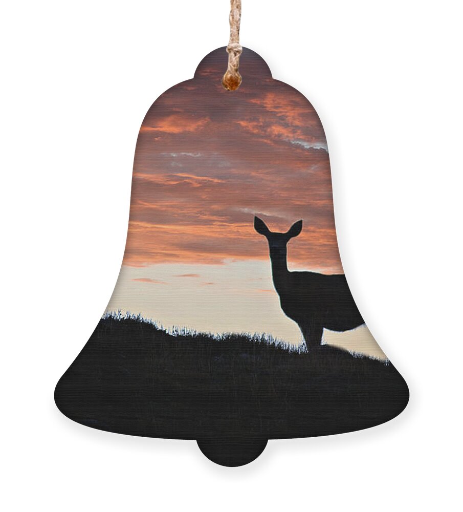 Colorado Ornament featuring the photograph Evening Doe Fiery Sky by Lana Trussell