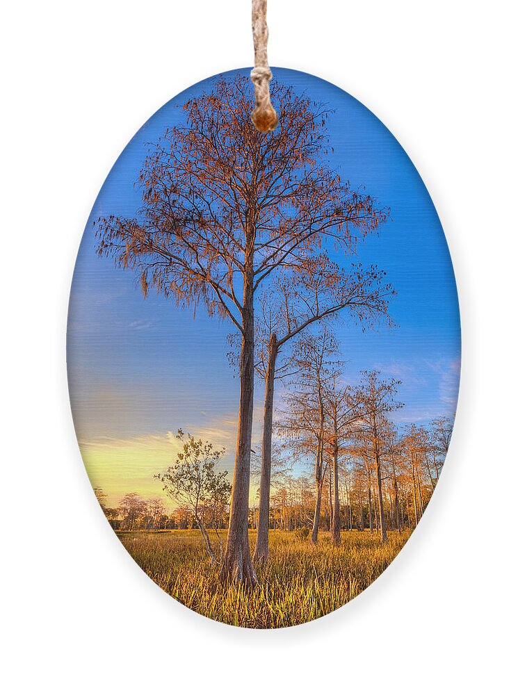 Clouds Ornament featuring the photograph Everglades at Sunset by Debra and Dave Vanderlaan