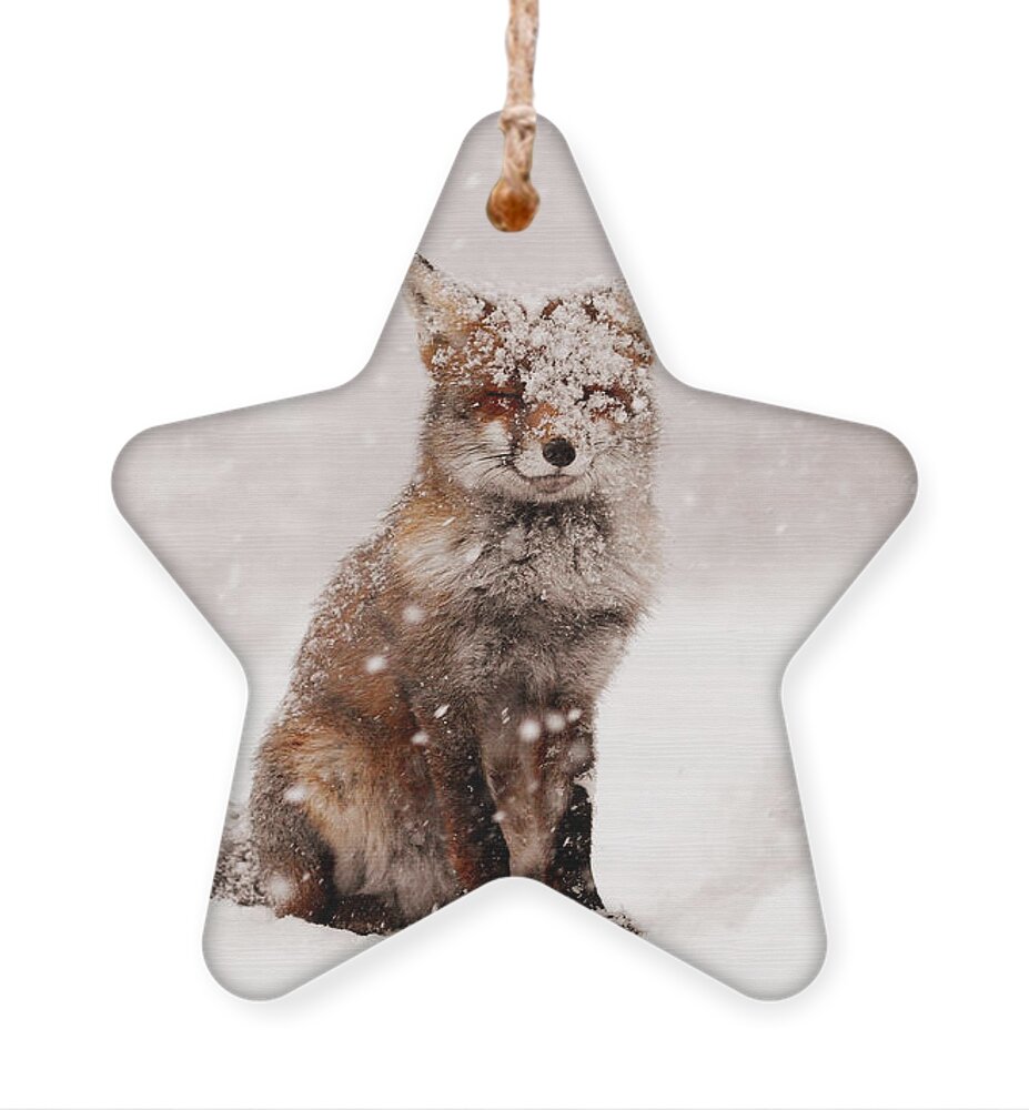 #faatoppicks Ornament featuring the photograph Fairytale Fox _ Red Fox in a Snow Storm by Roeselien Raimond