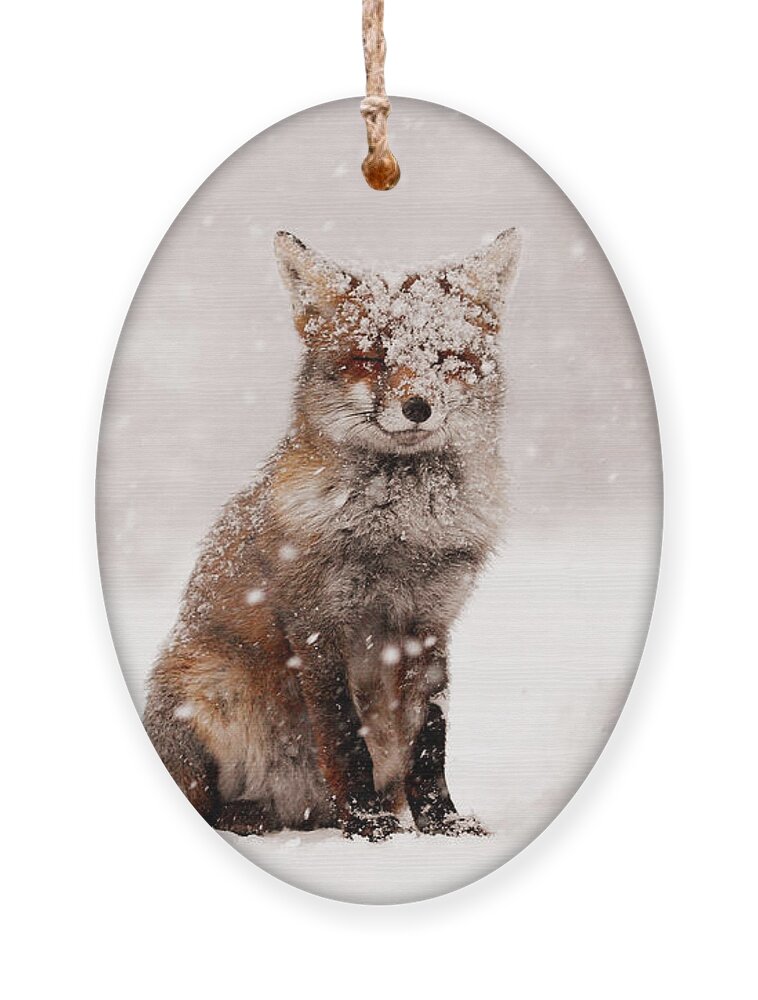 Fox Ornament featuring the photograph Fairytale Fox _ Red Fox in a Snow Storm by Roeselien Raimond