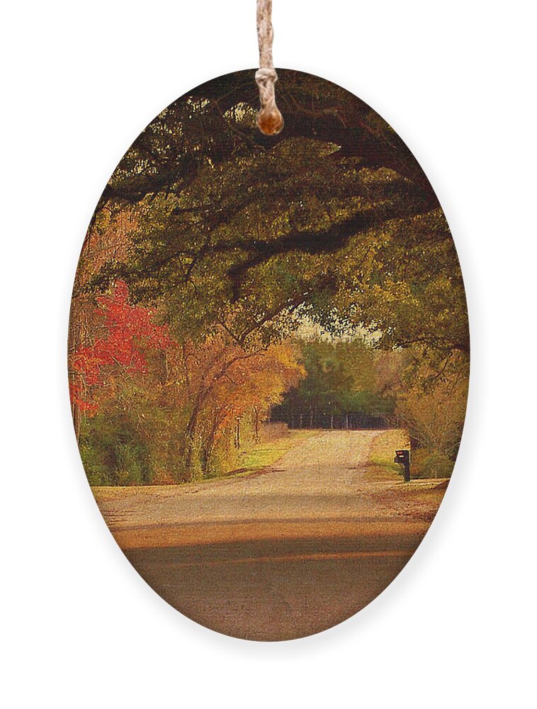 Fall Ornament featuring the photograph Fall Along A Country Road by Kathy Baccari
