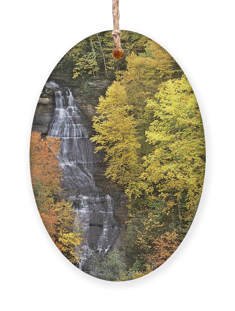 Michigan Ornament featuring the photograph Fall Color Surrounds Chapel Falls on the Michigan Upper Peninsula by Dave Welling