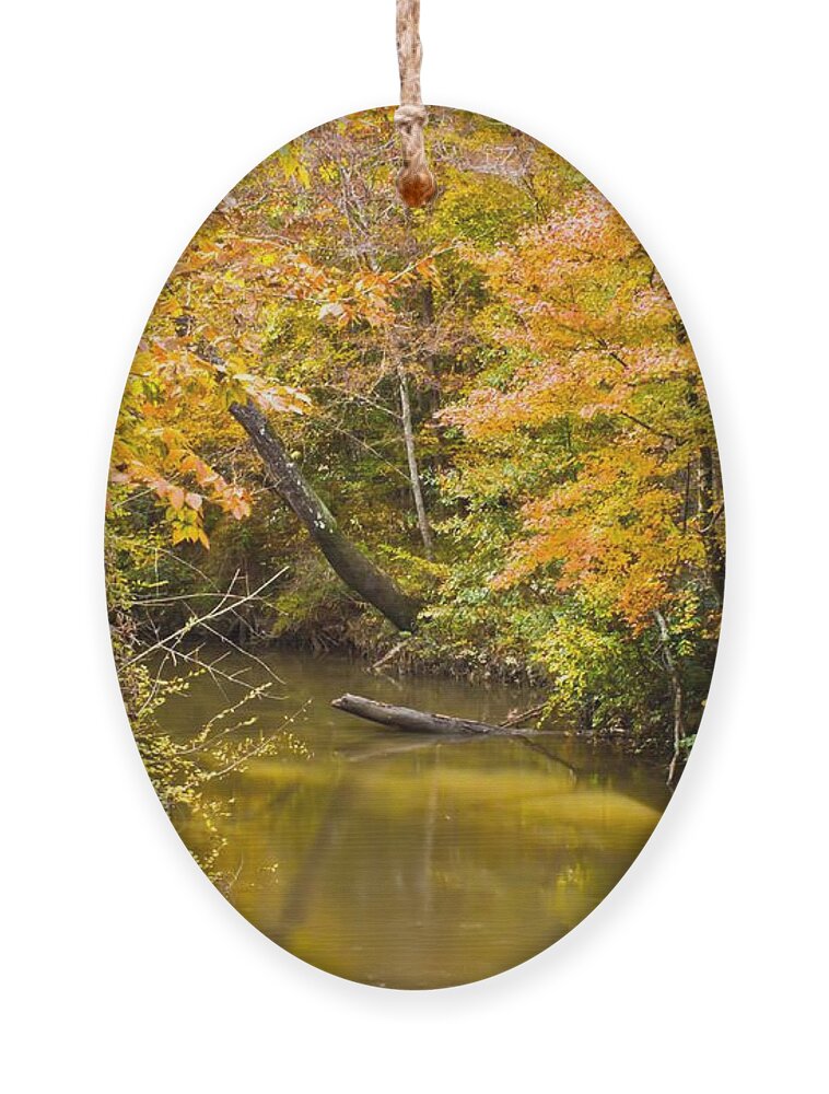 Michael Tidwell Photography Ornament featuring the photograph Fall Creek Foliage by Michael Tidwell