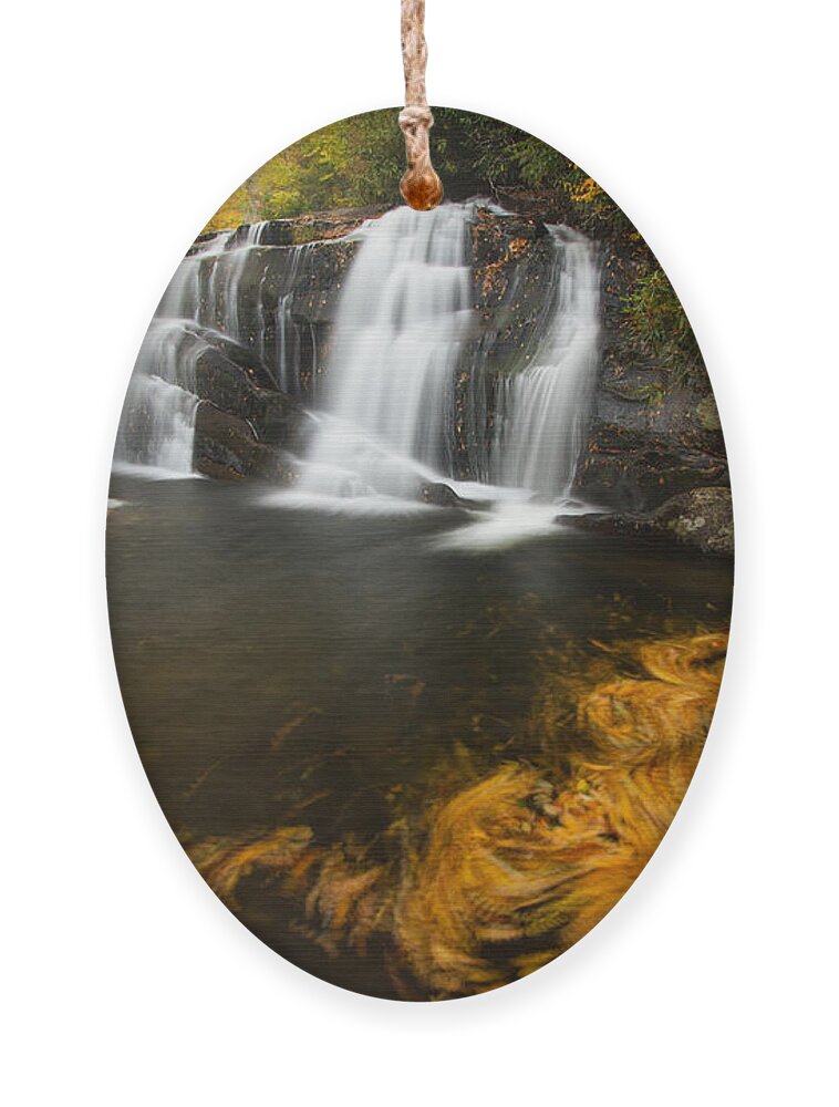 Water Ornament featuring the photograph The Swirlpool by Doug McPherson
