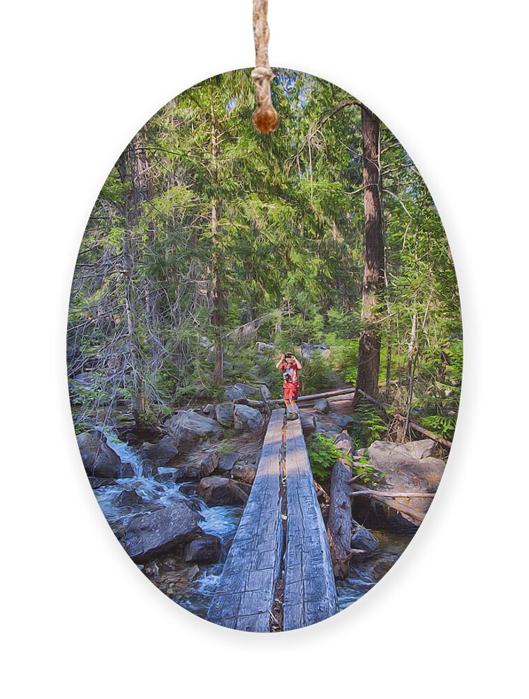 Methow Valley Ornament featuring the photograph Falls Creek Footbridge by Omaste Witkowski